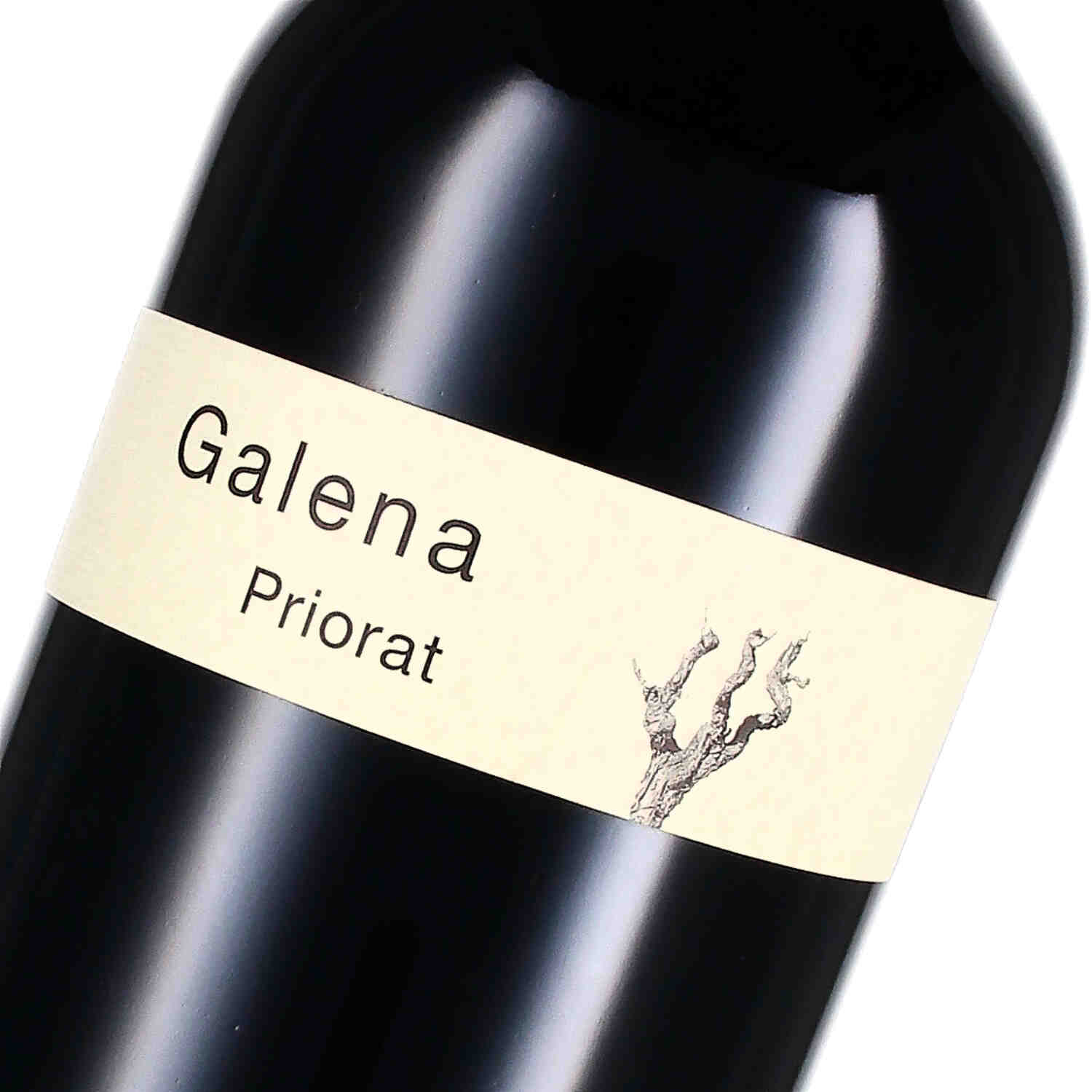 Galena Priorat D.O.Q. 2019 (bio) - Magnum