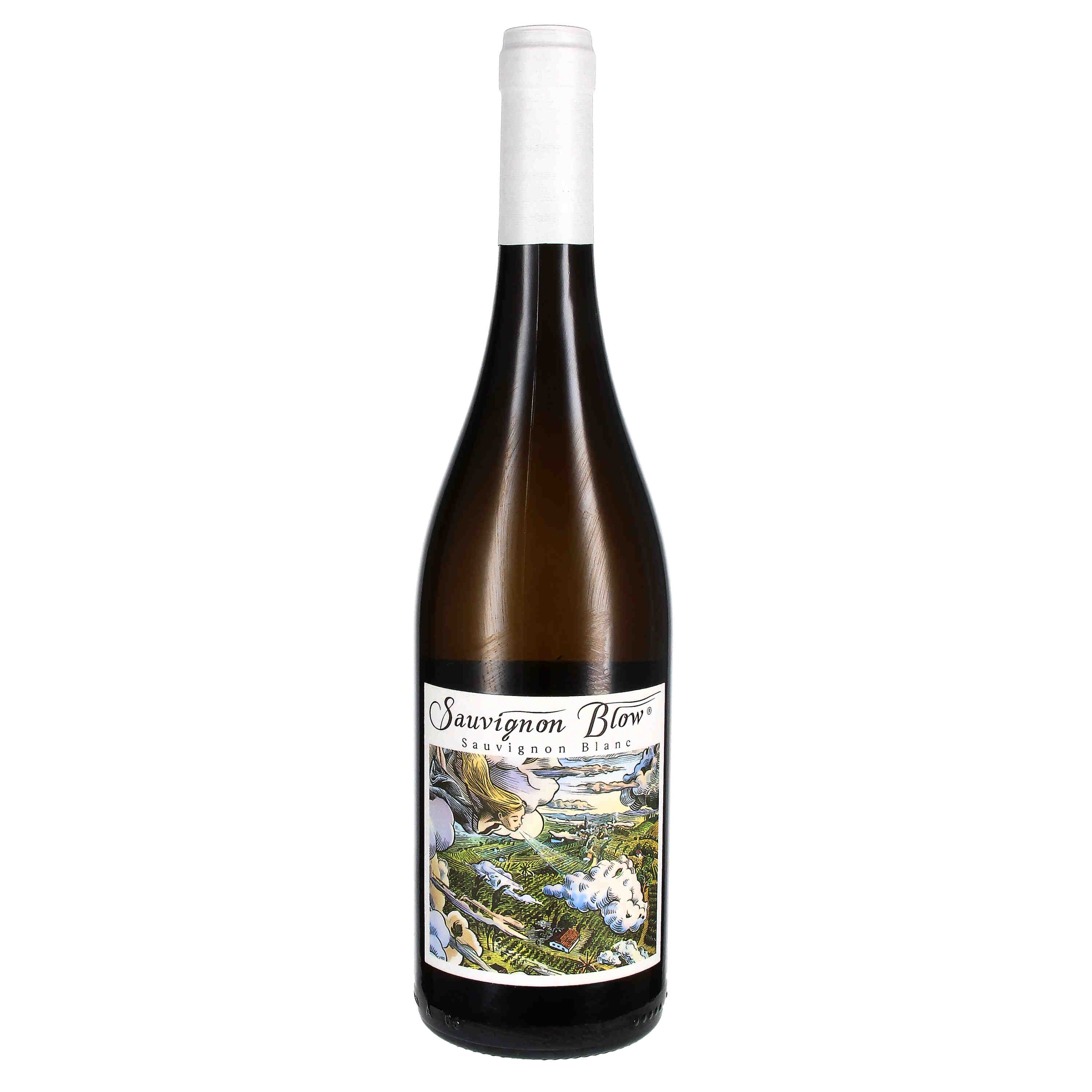 Sauvignon Blow 2023, Lw (bio)