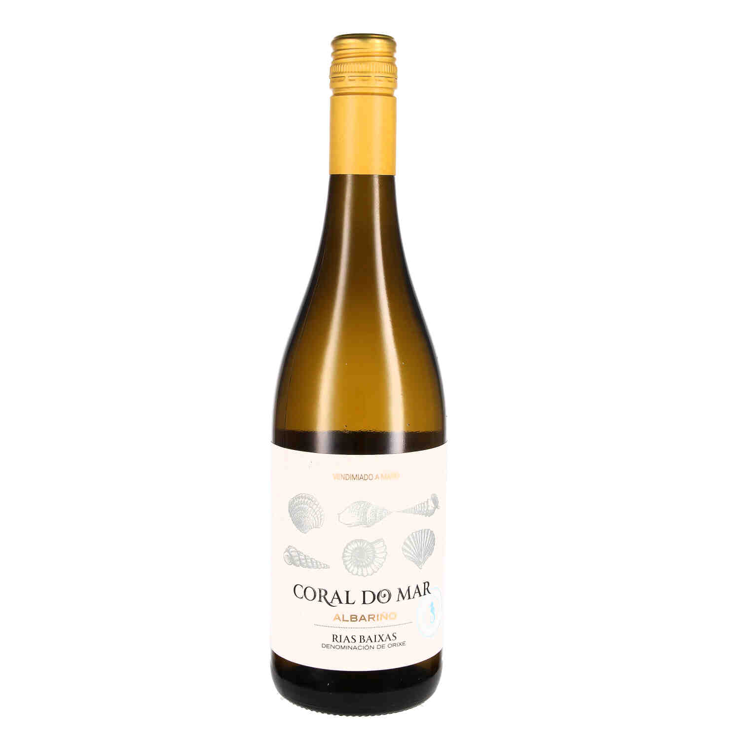 Albariño Coral do Mar Rias Baíxas D.O. 2023