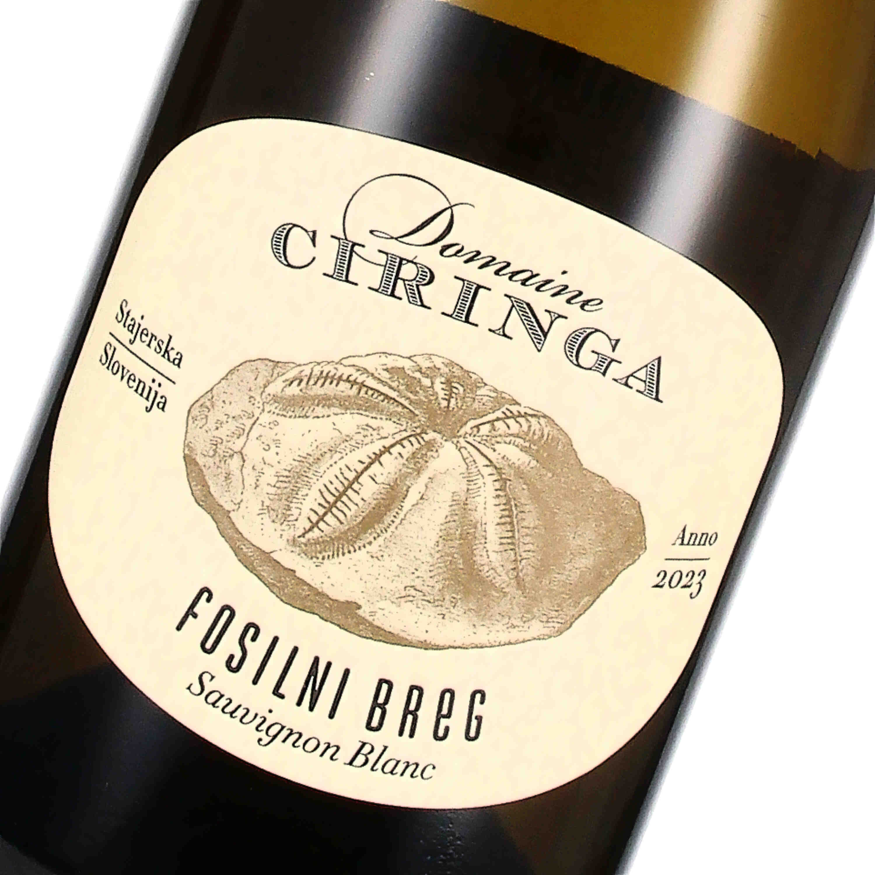 "Fosilni Breg" Sauvignon Blanc Vrhunsko Vino ZGP 2024 (bio)