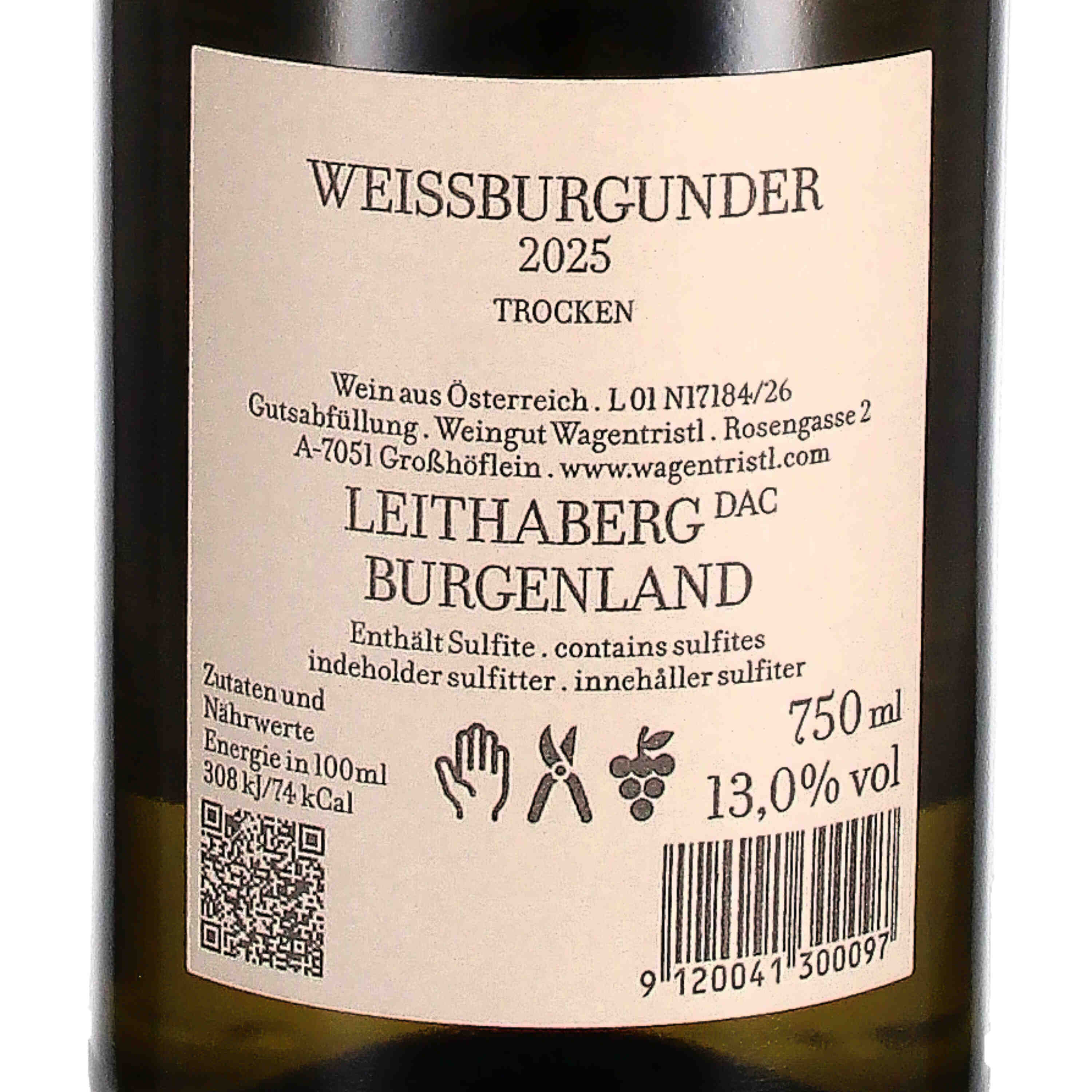Weissburgunder Leithaberg DAC 2025