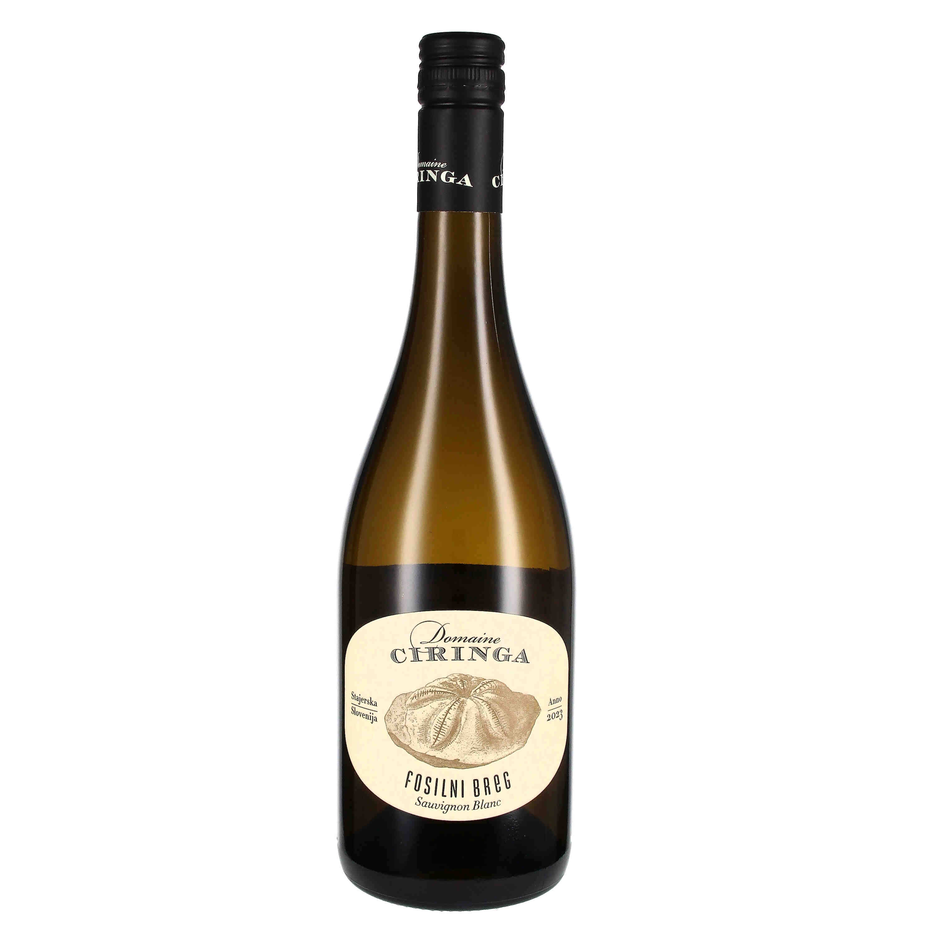 "Fosilni Breg" Sauvignon Blanc Vrhunsko Vino ZGP 2024 (bio)
