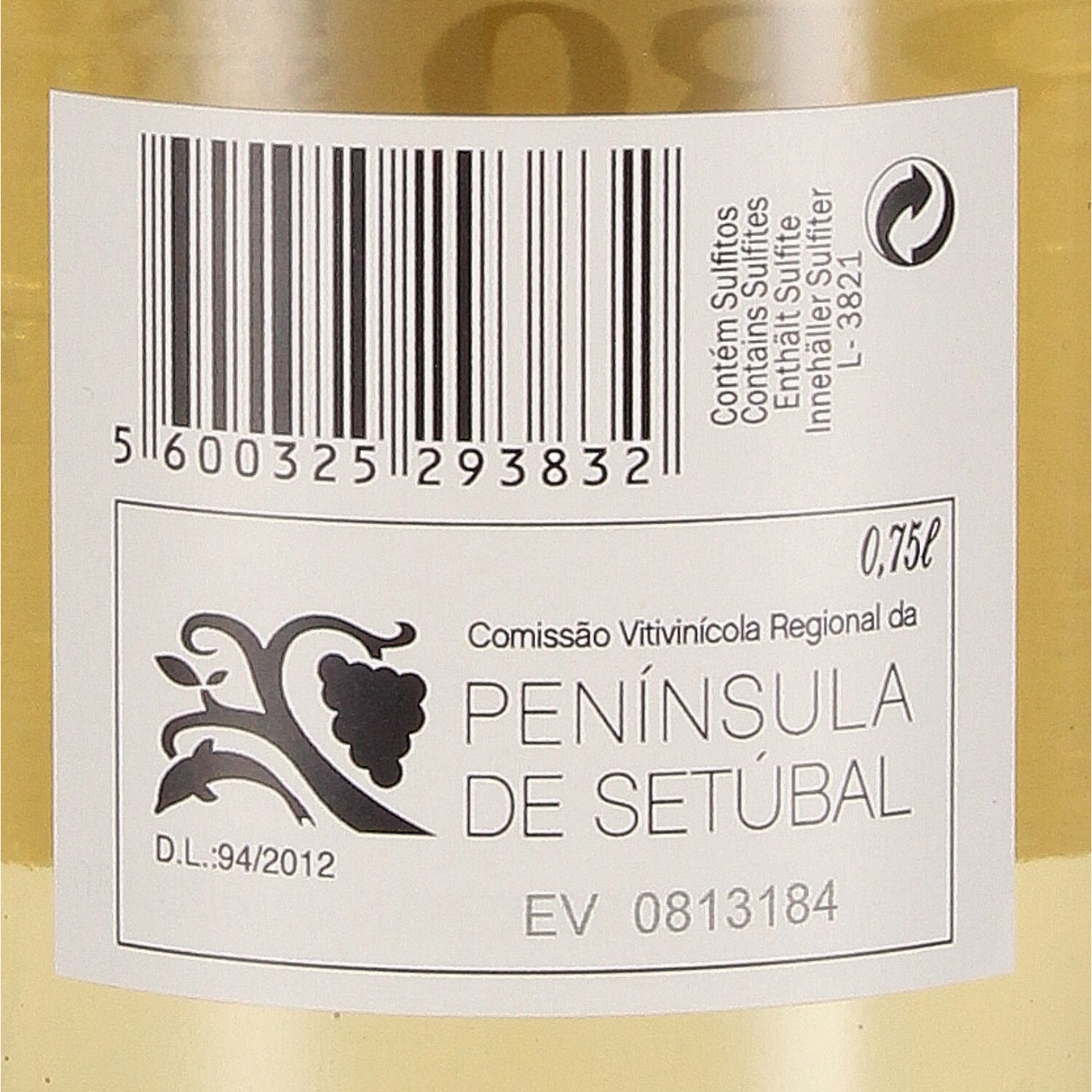 Autocarro Nº 38 white 2021 V.R. Península de Setúbal