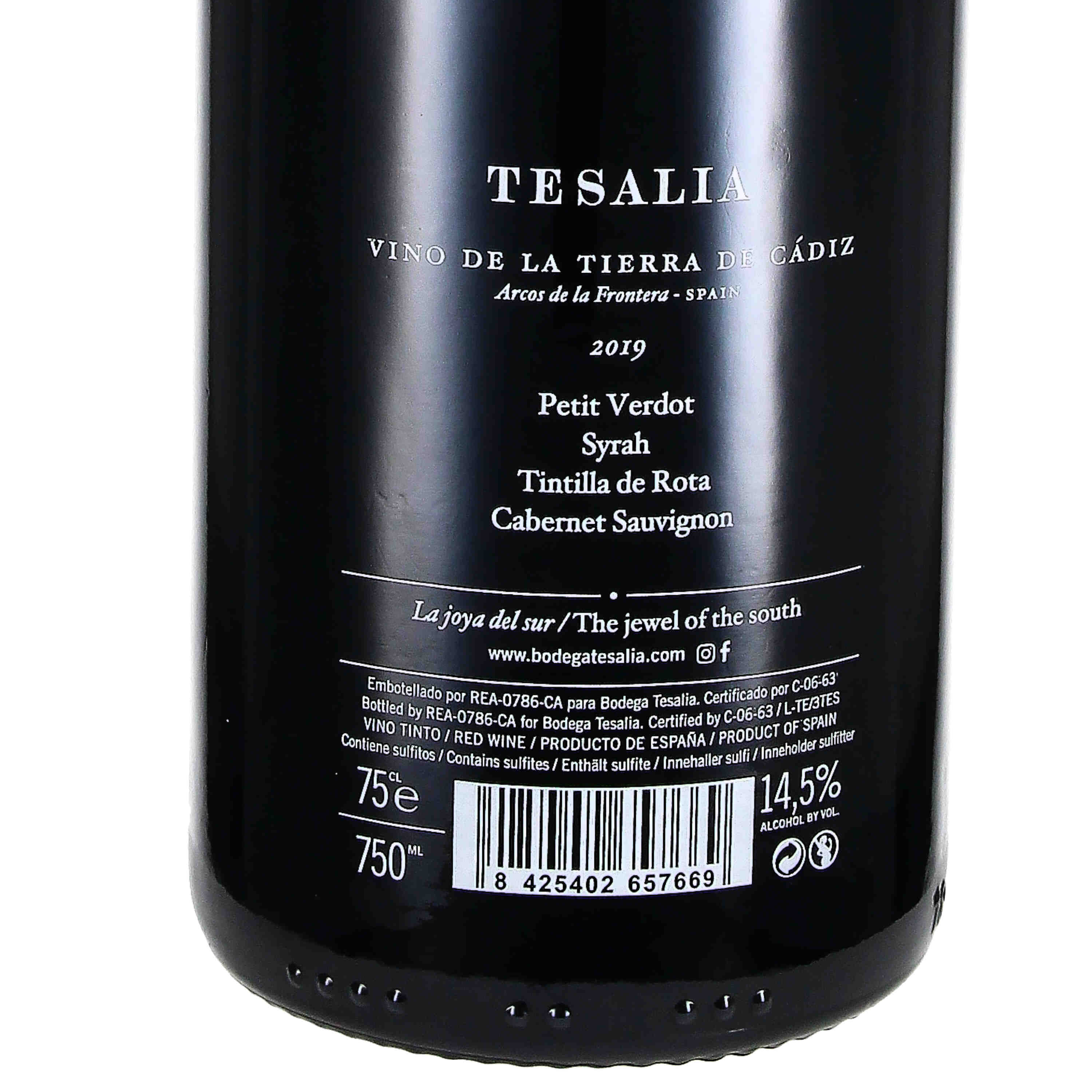 Tesalia 2019, Cádiz V.d.T