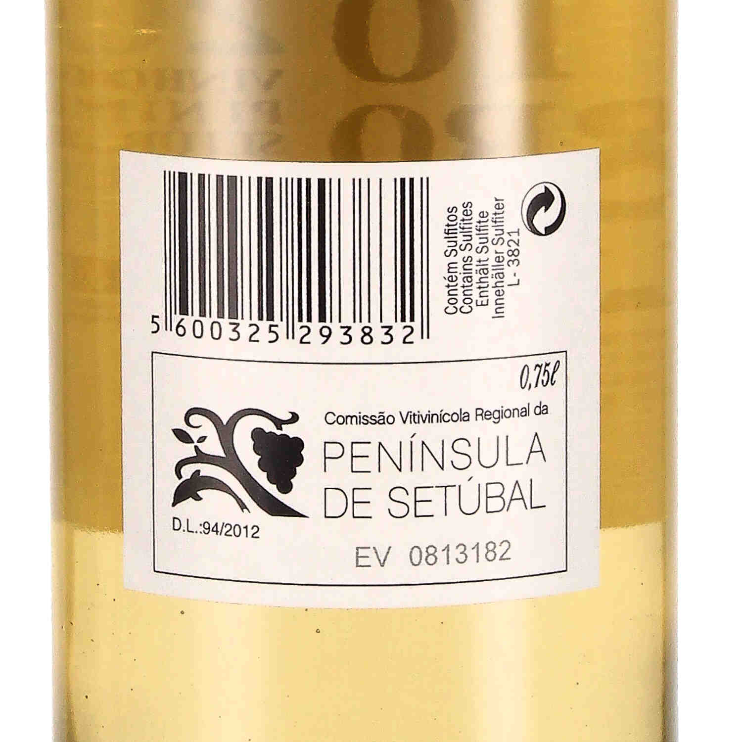 Autocarro Nº 38 white 2021 V.R. Península de Setúbal